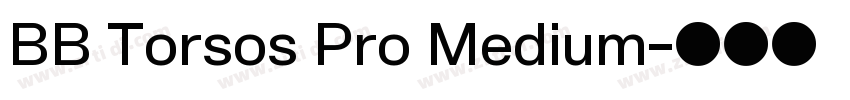 BB Torsos Pro Medium字体转换